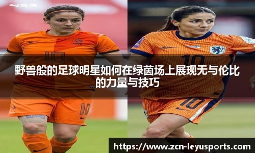 乐鱼体育官方网站